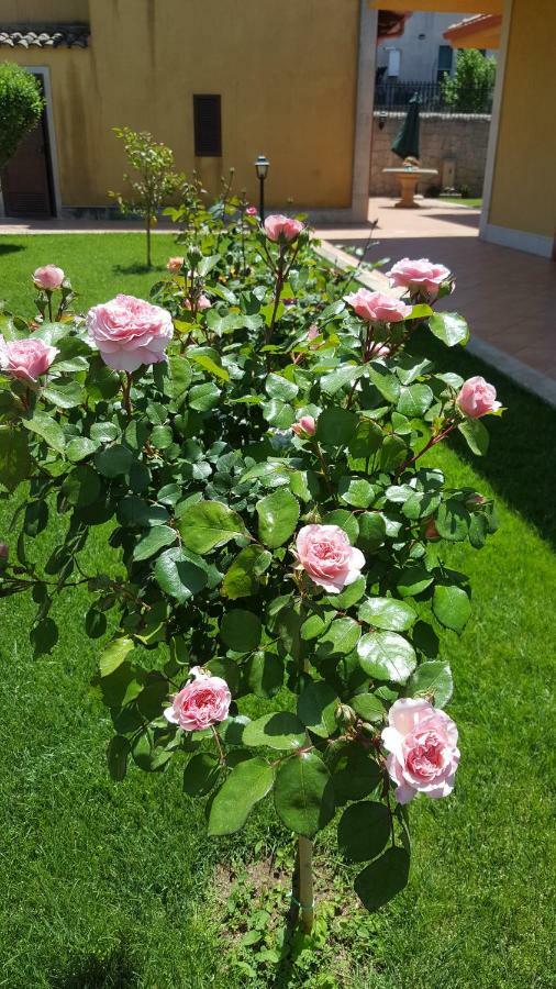 Le Rose Di Modica Villa Eksteriør bilde